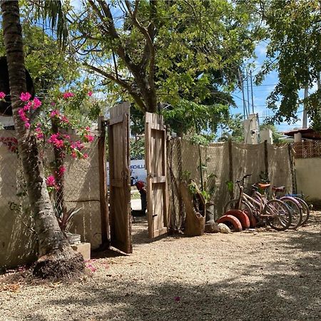 Hotel Selva Bacalar - Free Bike Rental Exterior foto