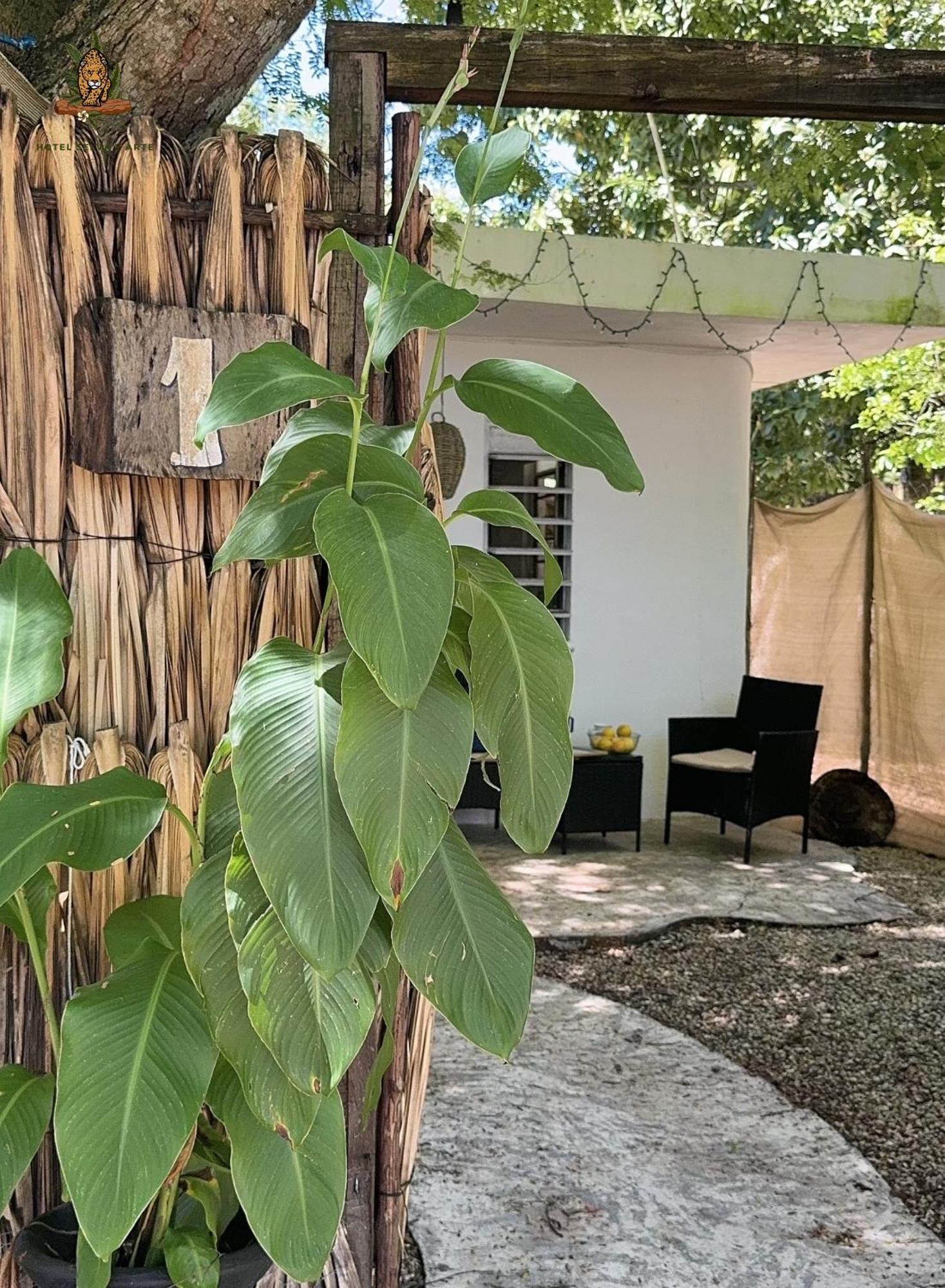 Hotel Selva Bacalar - Free Bike Rental Exterior foto