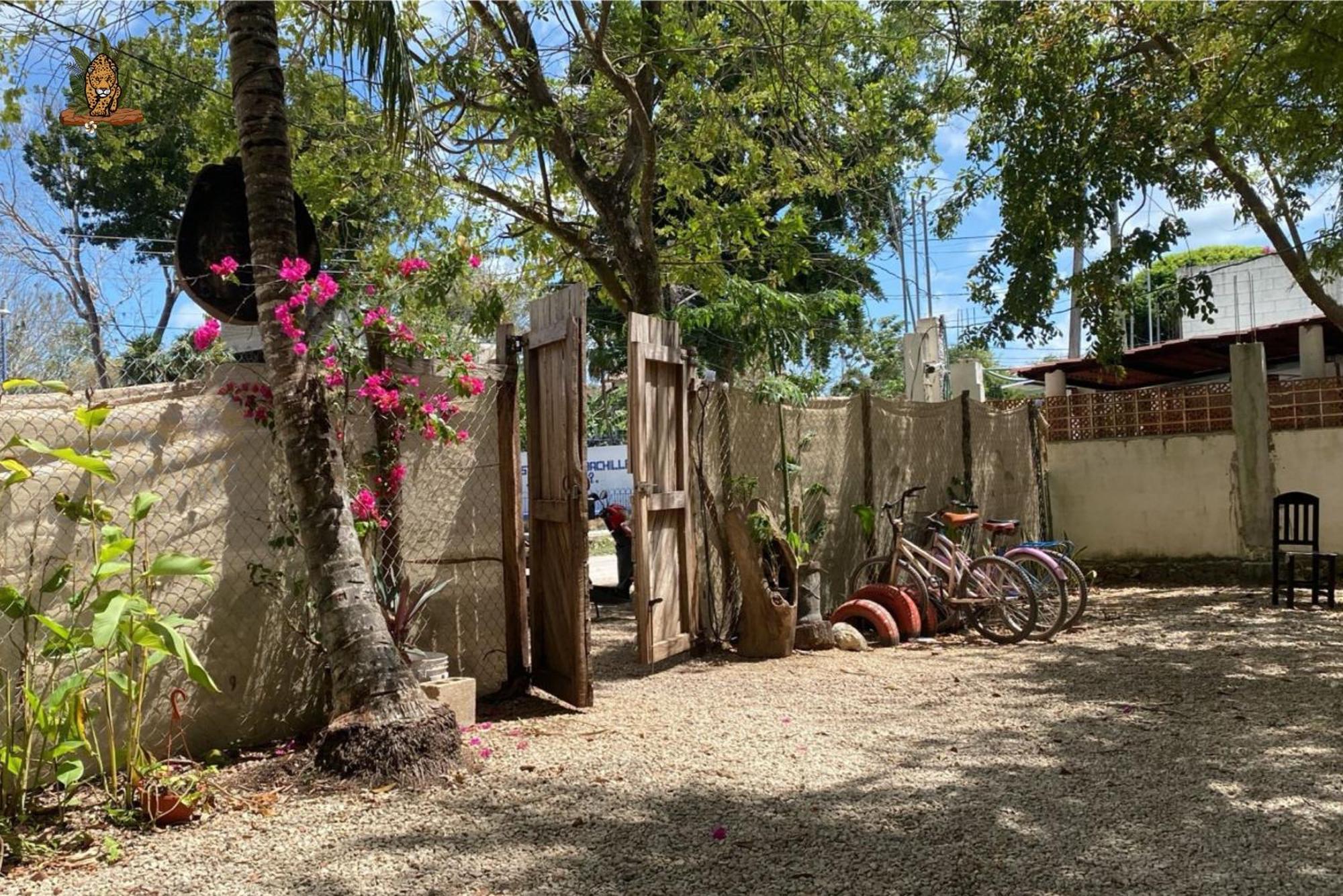Hotel Selva Bacalar - Free Bike Rental Exterior foto
